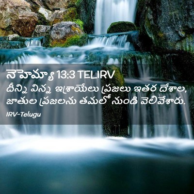 Picture 02 - నెహెమ్యా 13:3 TELIRV - దీన్ని విన్న - Bible Verse Picture