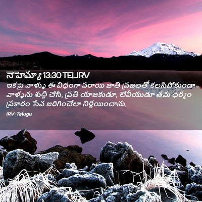 Picture 02 - నెహెమ్యా 13:30 TELIRV - ఇకపై వాళ్ళు ఈ - Bible Verse Picture