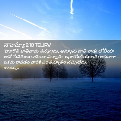 Picture 02 - నెహెమ్యా 2:10 TELIRV - హోరోనీ జాతివాడు - Bible Verse Picture