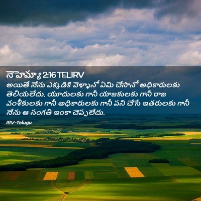 Picture 02 - నెహెమ్యా 2:16 TELIRV - అయితే నేను - Bible Verse Picture