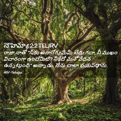 Picture 02 - నెహెమ్యా 2:2 TELIRV - రాజు నాతో “నీకు - Bible Verse Picture