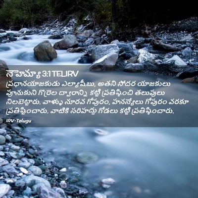 Picture 02 - నెహెమ్యా 3:1 TELIRV - ప్రధానయాజకుడు - Bible Verse Picture