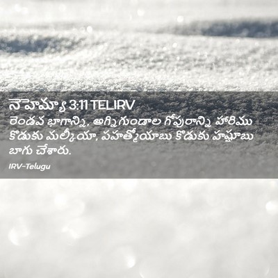 Picture 02 - నెహెమ్యా 3:11 TELIRV - రెండవ భాగాన్ని, - Bible Verse Picture