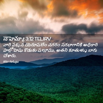 Picture 02 - నెహెమ్యా 3:12 TELIRV - వారి పక్కన - Bible Verse Picture