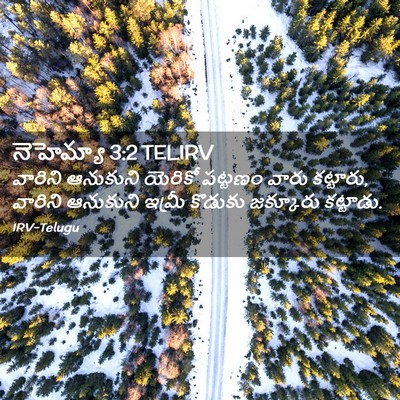 Picture 02 - నెహెమ్యా 3:2 TELIRV - వారిని ఆనుకుని - Bible Verse Picture