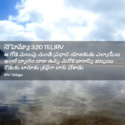Picture 02 - నెహెమ్యా 3:20 TELIRV - ఆ గోడ మలుపు నుండి - Bible Verse Picture