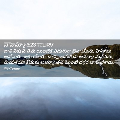 Picture 02 - నెహెమ్యా 3:23 TELIRV - దాని పక్కన తమ - Bible Verse Picture