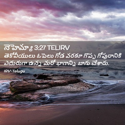 Picture 02 - నెహెమ్యా 3:27 TELIRV - తెకోవీయులు ఓపెలు - Bible Verse Picture