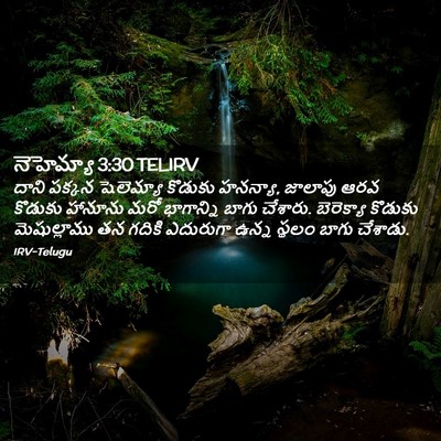 Picture 02 - నెహెమ్యా 3:30 TELIRV - దాని పక్కన - Bible Verse Picture