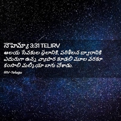 Picture 02 - నెహెమ్యా 3:31 TELIRV - ఆలయ సేవకుల - Bible Verse Picture
