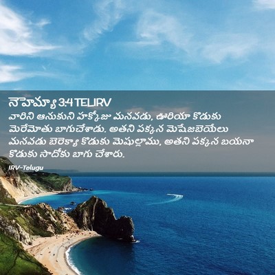 Picture 02 - నెహెమ్యా 3:4 TELIRV - వారిని ఆనుకుని - Bible Verse Picture