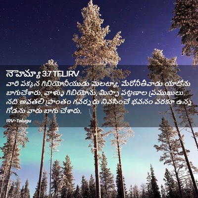 Picture 02 - నెహెమ్యా 3:7 TELIRV - వారి పక్కన - Bible Verse Picture