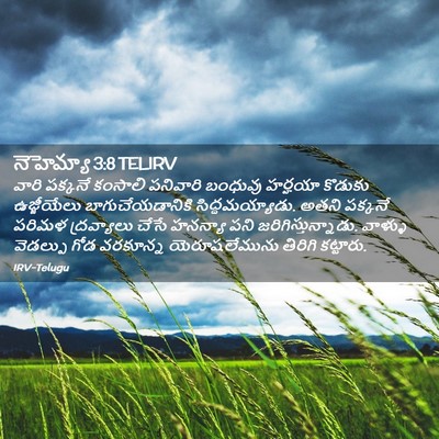 Picture 02 - నెహెమ్యా 3:8 TELIRV - వారి పక్కనే - Bible Verse Picture