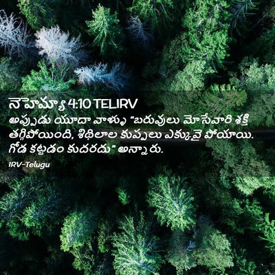 Picture 02 - నెహెమ్యా 4:10 TELIRV - అప్పుడు యూదా - Bible Verse Picture
