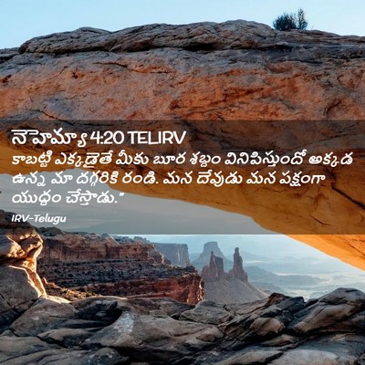 Picture 02 - నెహెమ్యా 4:20 TELIRV - కాబట్టి ఎక్కడైతే - Bible Verse Picture