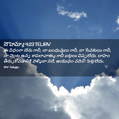 Picture 02 - నెహెమ్యా 4:23 TELIRV - ఈ విధంగా నేను గానీ, - Bible Verse Picture
