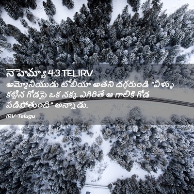 Picture 02 - నెహెమ్యా 4:3 TELIRV - అమ్మోనీయుడు - Bible Verse Picture