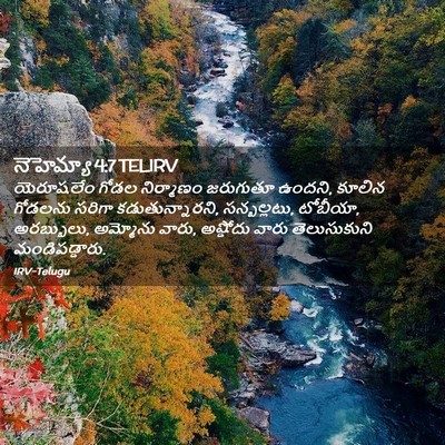 Picture 02 - నెహెమ్యా 4:7 TELIRV - యెరూషలేం గోడల - Bible Verse Picture