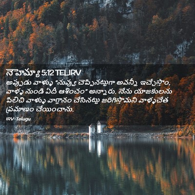 Picture 02 - నెహెమ్యా 5:12 TELIRV - అప్పుడు వాళ్ళు - Bible Verse Picture