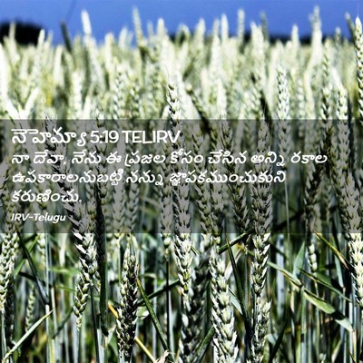 Picture 02 - నెహెమ్యా 5:19 TELIRV - నా దేవా, నేను ఈ - Bible Verse Picture