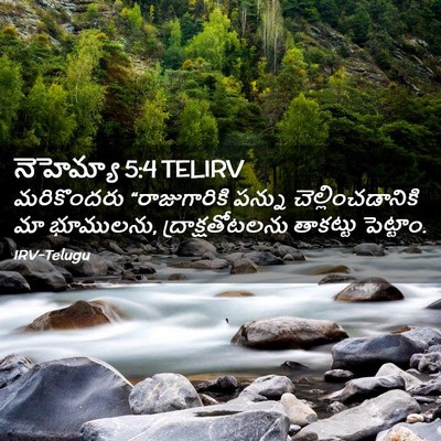 Picture 02 - నెహెమ్యా 5:4 TELIRV - మరికొందరు - Bible Verse Picture