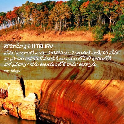 Picture 02 - నెహెమ్యా 6:11 TELIRV - నేను “నాలాంటి - Bible Verse Picture