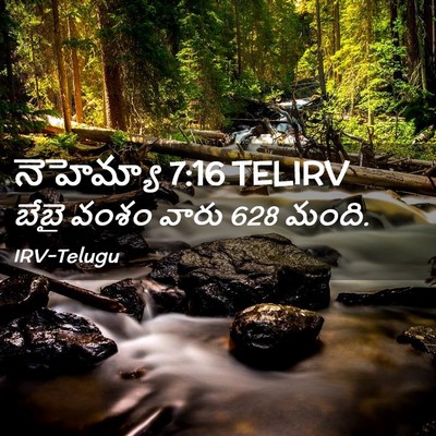 Picture 02 - నెహెమ్యా 7:16 TELIRV - బేబై వంశం వారు 628 - Bible Verse Picture