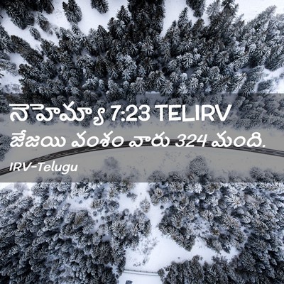 Picture 02 - నెహెమ్యా 7:23 TELIRV - జేజయి వంశం వారు 324 - Bible Verse Picture