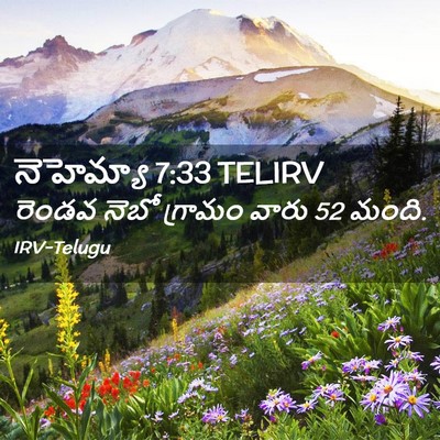 Picture 02 - నెహెమ్యా 7:33 TELIRV - రెండవ నెబో గ్రామం - Bible Verse Picture