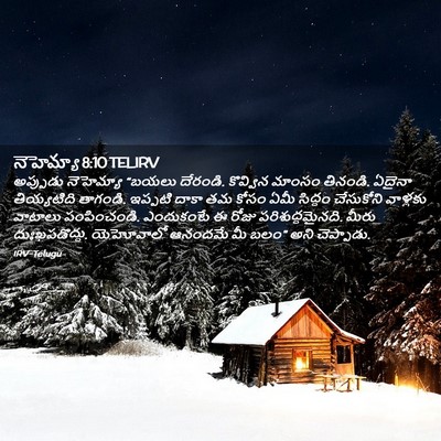Picture 02 - నెహెమ్యా 8:10 TELIRV - అప్పుడు నెహెమ్యా - Bible Verse Picture