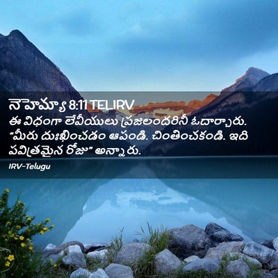 Picture 02 - నెహెమ్యా 8:11 TELIRV - ఈ విధంగా లేవీయులు - Bible Verse Picture