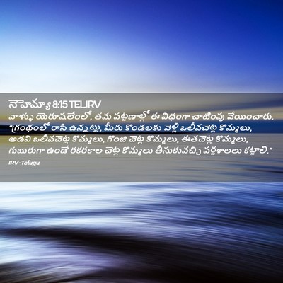Picture 02 - నెహెమ్యా 8:15 TELIRV - వాళ్ళు - Bible Verse Picture