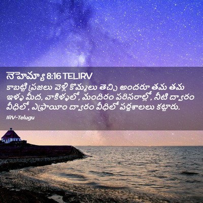 Picture 02 - నెహెమ్యా 8:16 TELIRV - కాబట్టి ప్రజలు - Bible Verse Picture