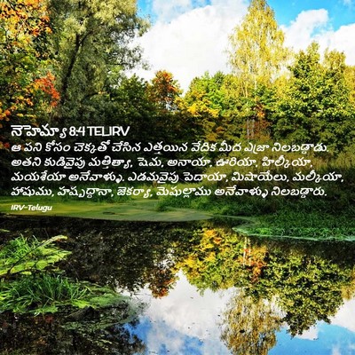 Picture 02 - నెహెమ్యా 8:4 TELIRV - ఆ పని కోసం చెక్కతో - Bible Verse Picture