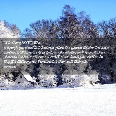 Picture 02 - నెహెమ్యా 8:9 TELIRV - ధర్మశాస్త్ర - Bible Verse Picture