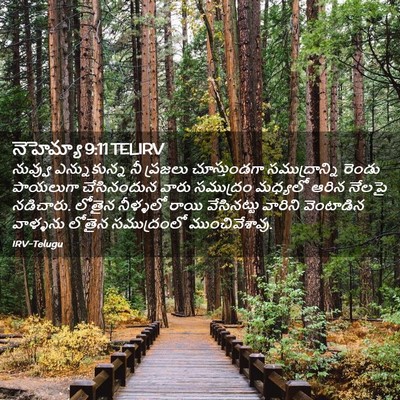 Picture 02 - నెహెమ్యా 9:11 TELIRV - నువ్వు ఎన్నుకున్న - Bible Verse Picture