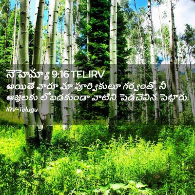 Picture 02 - నెహెమ్యా 9:16 TELIRV - అయితే వారూ మా - Bible Verse Picture