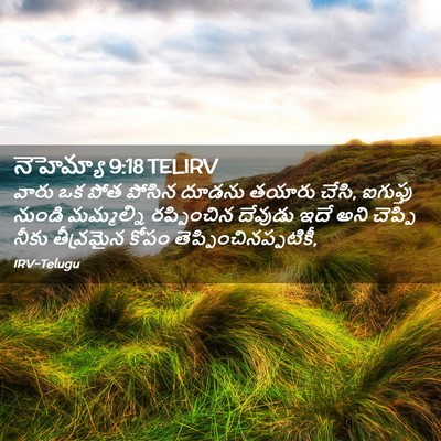 Picture 02 - నెహెమ్యా 9:18 TELIRV - వారు ఒక పోత పోసిన - Bible Verse Picture