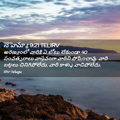 Picture 02 - నెహెమ్యా 9:21 TELIRV - అరణ్యంలో వారికి ఏ - Bible Verse Picture