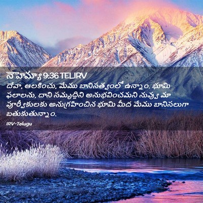 Picture 02 - నెహెమ్యా 9:36 TELIRV - దేవా, ఆలకించు, మేము - Bible Verse Picture