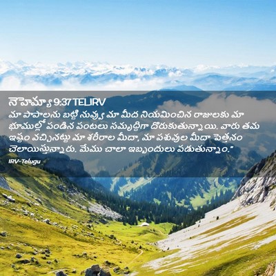 Picture 02 - నెహెమ్యా 9:37 TELIRV - మా పాపాలను బట్టి - Bible Verse Picture