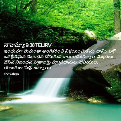Picture 02 - నెహెమ్యా 9:38 TELIRV - ఇందువల్ల మేమంతా - Bible Verse Picture