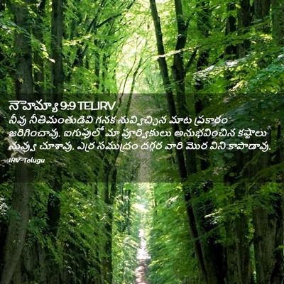 Picture 02 - నెహెమ్యా 9:9 TELIRV - నీవు నీతిమంతుడివి - Bible Verse Picture