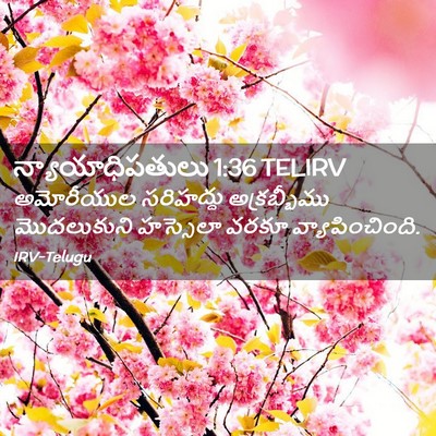 Picture 02 - న్యాయాధిపతులు 1:36 TELIRV - అమోరీయుల సరిహద్దు - Bible Verse Picture