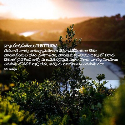 Picture 02 - న్యాయాధిపతులు 11:18 TELIRV - తరువాత వాళ్ళు - Bible Verse Picture