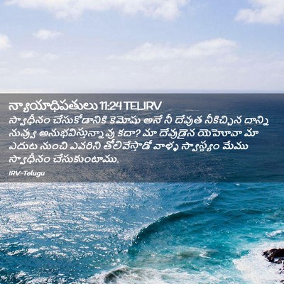 Picture 02 - న్యాయాధిపతులు 11:24 TELIRV - స్వాధీనం - Bible Verse Picture