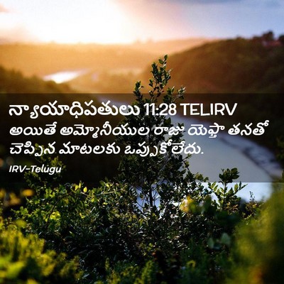Picture 02 - న్యాయాధిపతులు 11:28 TELIRV - అయితే అమ్మోనీయుల - Bible Verse Picture