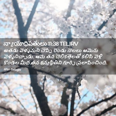 Picture 02 - న్యాయాధిపతులు 11:38 TELIRV - అతడు వెళ్ళమని - Bible Verse Picture
