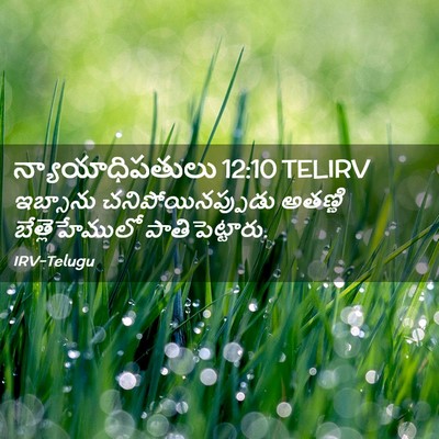 Picture 02 - న్యాయాధిపతులు 12:10 TELIRV - ఇబ్సాను - Bible Verse Picture