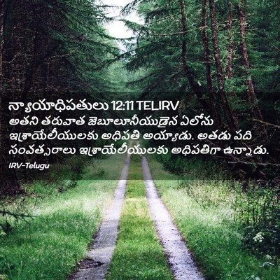 Picture 02 - న్యాయాధిపతులు 12:11 TELIRV - అతని తరువాత - Bible Verse Picture